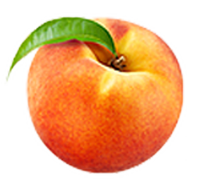251-peachlogo.png