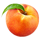 711-150x130peachlogo-copy.png