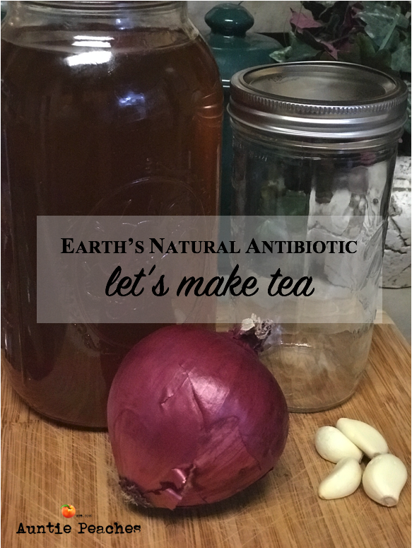 Earth's Natural Antibiotic: Let's Make Tea!