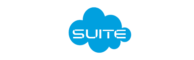 307-techsuiteonewhitelogo-16867161562202.png